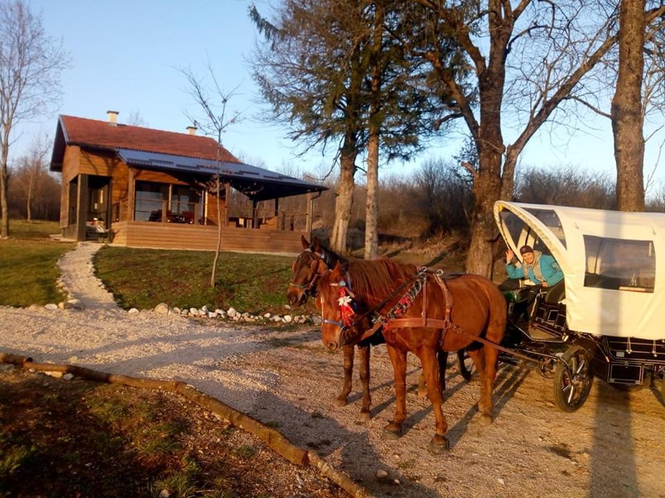 Evergreen House Plitvice Rakovica Εξωτερικό φωτογραφία